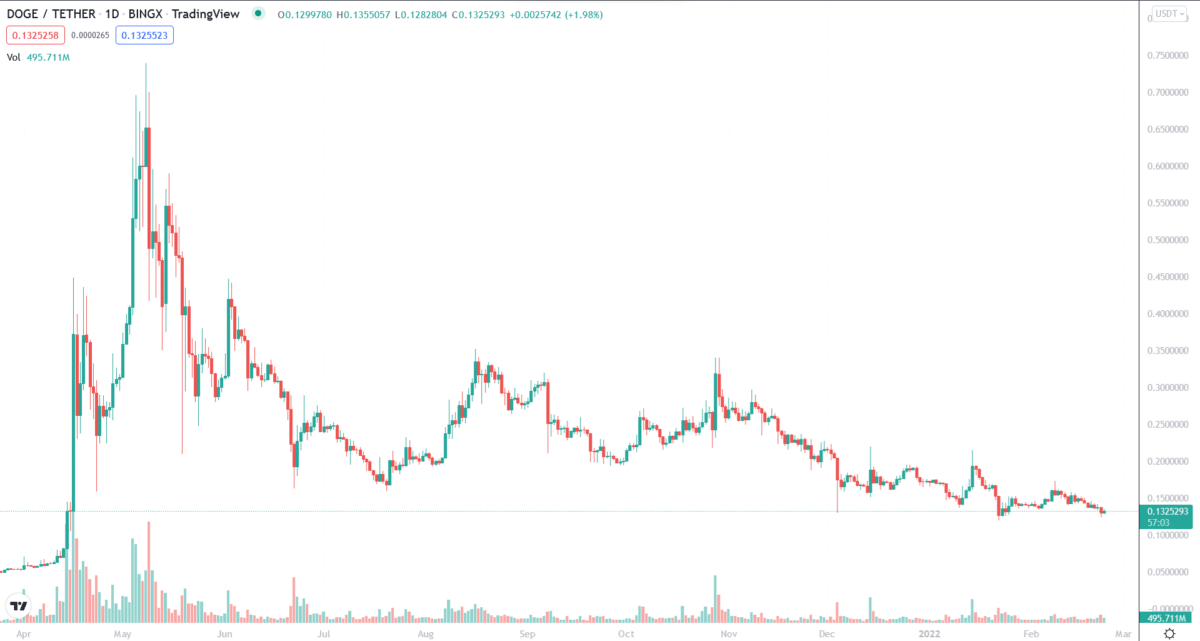 DOGE 1-year price chart