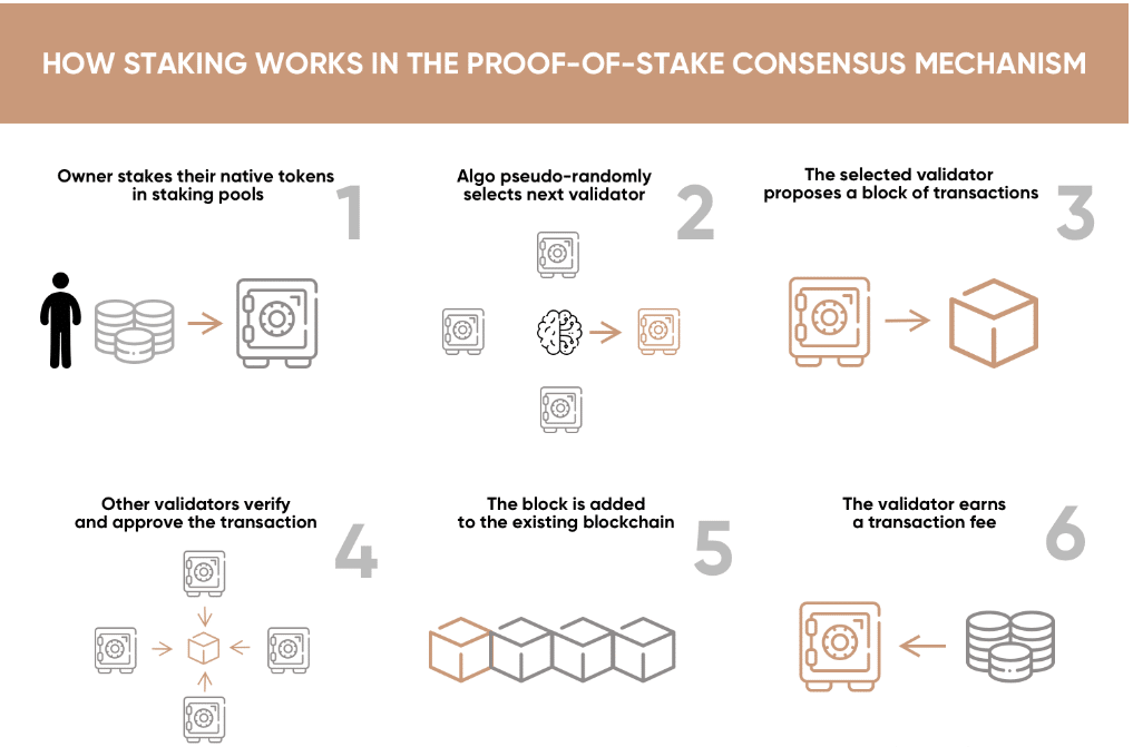 How staking works in the proof-of-stake consensus mechanism